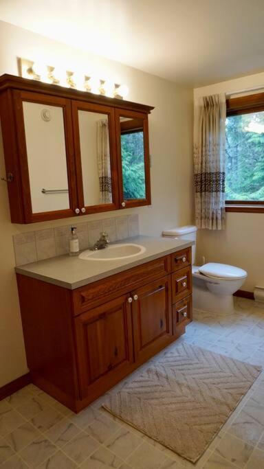 Chalet Style Cottage Near Shawnigan Lake エクステリア 写真