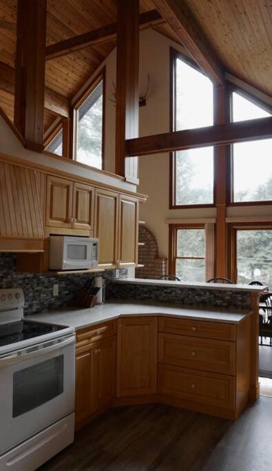 Chalet Style Cottage Near Shawnigan Lake エクステリア 写真